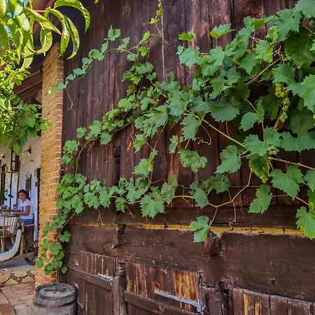 Сasa de vacaciones Balajceva Domacija -