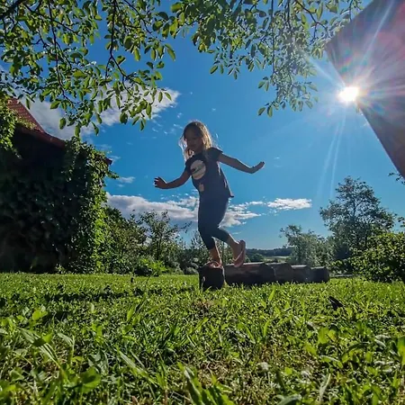 Balajceva Domacija - *