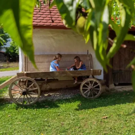 Balajceva Domacija - * Moravske Toplice