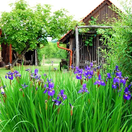 Balajceva Domacija - Moravske Toplice