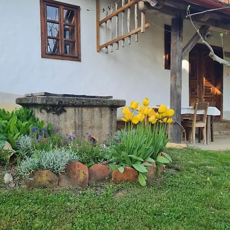 Balajceva Domacija - Moravske Toplice