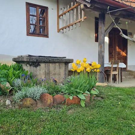 Balajceva Domacija -