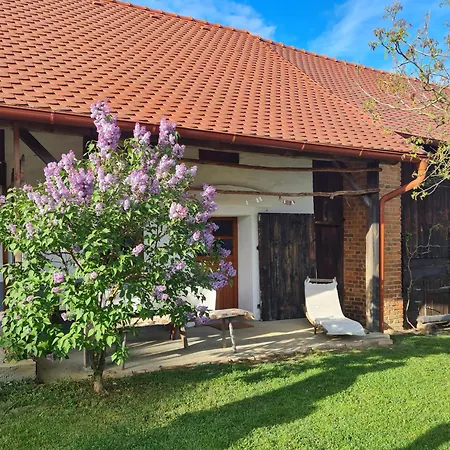 Balajceva Domacija - Сasa de vacaciones