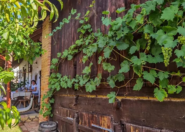 Ferienhaus Balajceva Domacija -