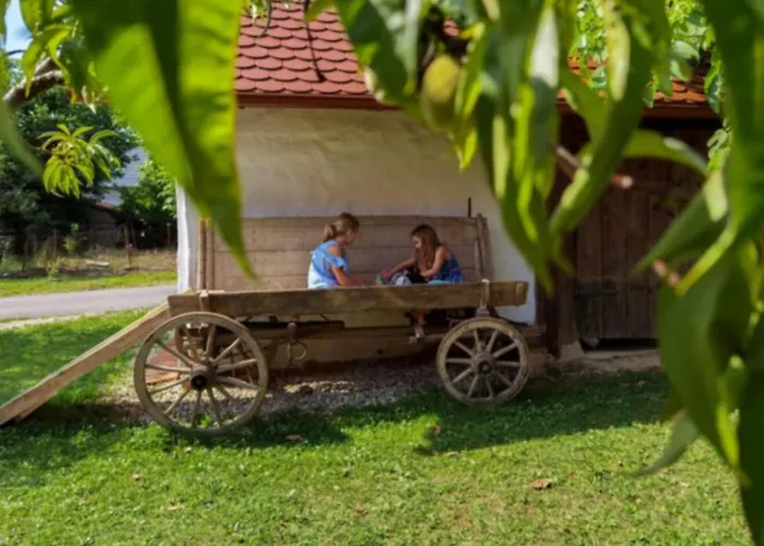 Balajceva Domacija - * Moravske Toplice