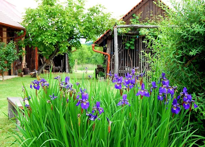 Balajceva Domacija - Moravske Toplice