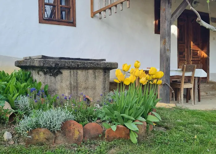 Balajceva Domacija - Moravske Toplice