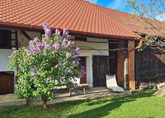 Balajceva Domacija - Ferienhaus