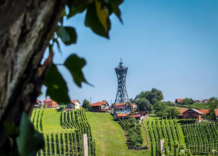 Ferienhaus Balajceva Domacija - *