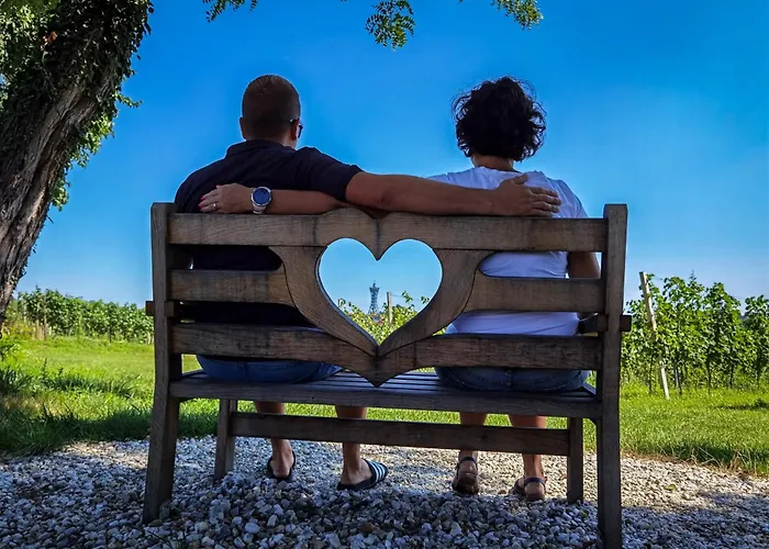 Balajceva Domacija -